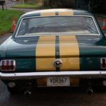 Rear shot with gold stripes