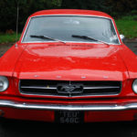 Bonnet/hood and grille