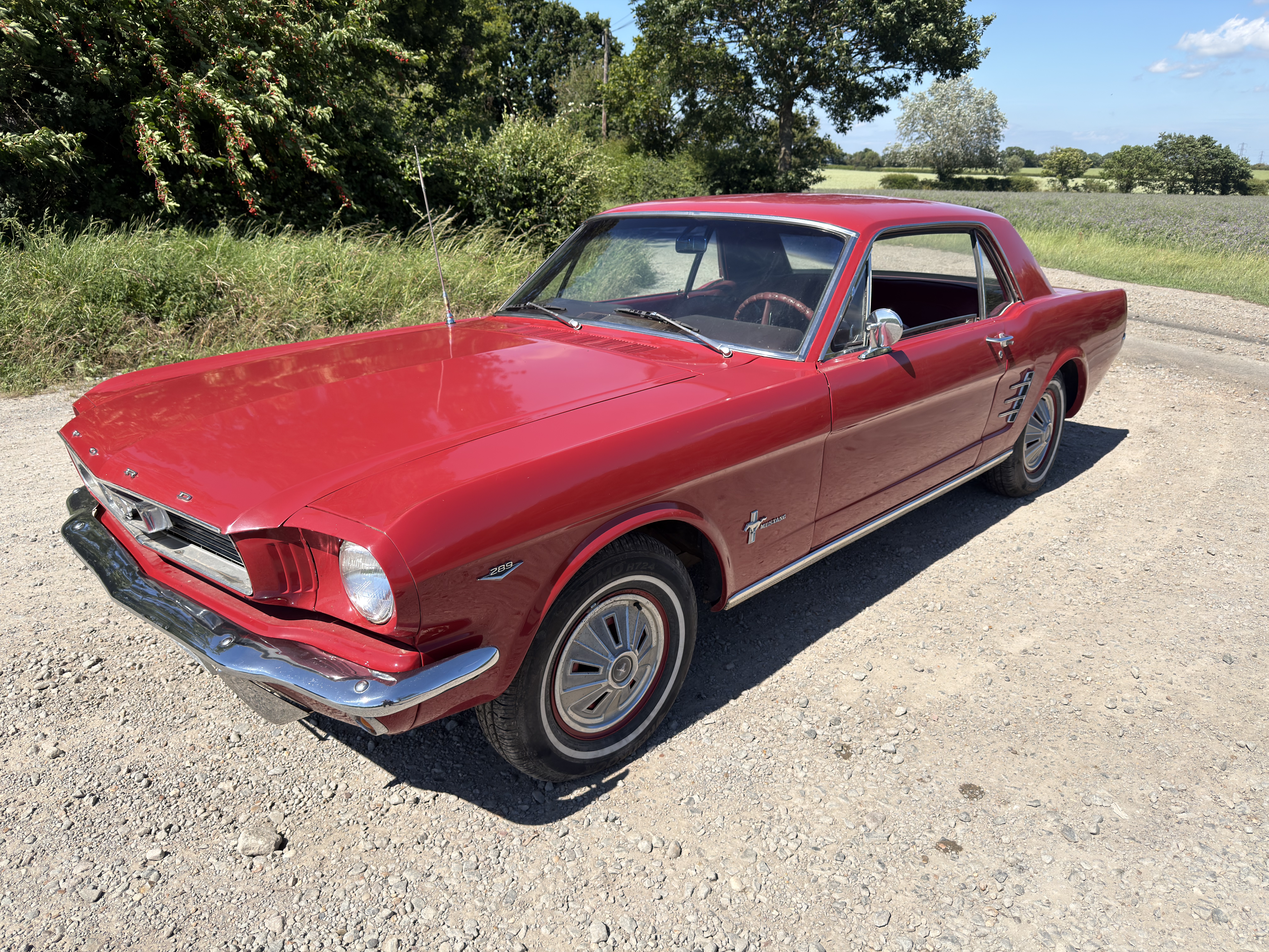 1966-red-v8-project-jun-2026-